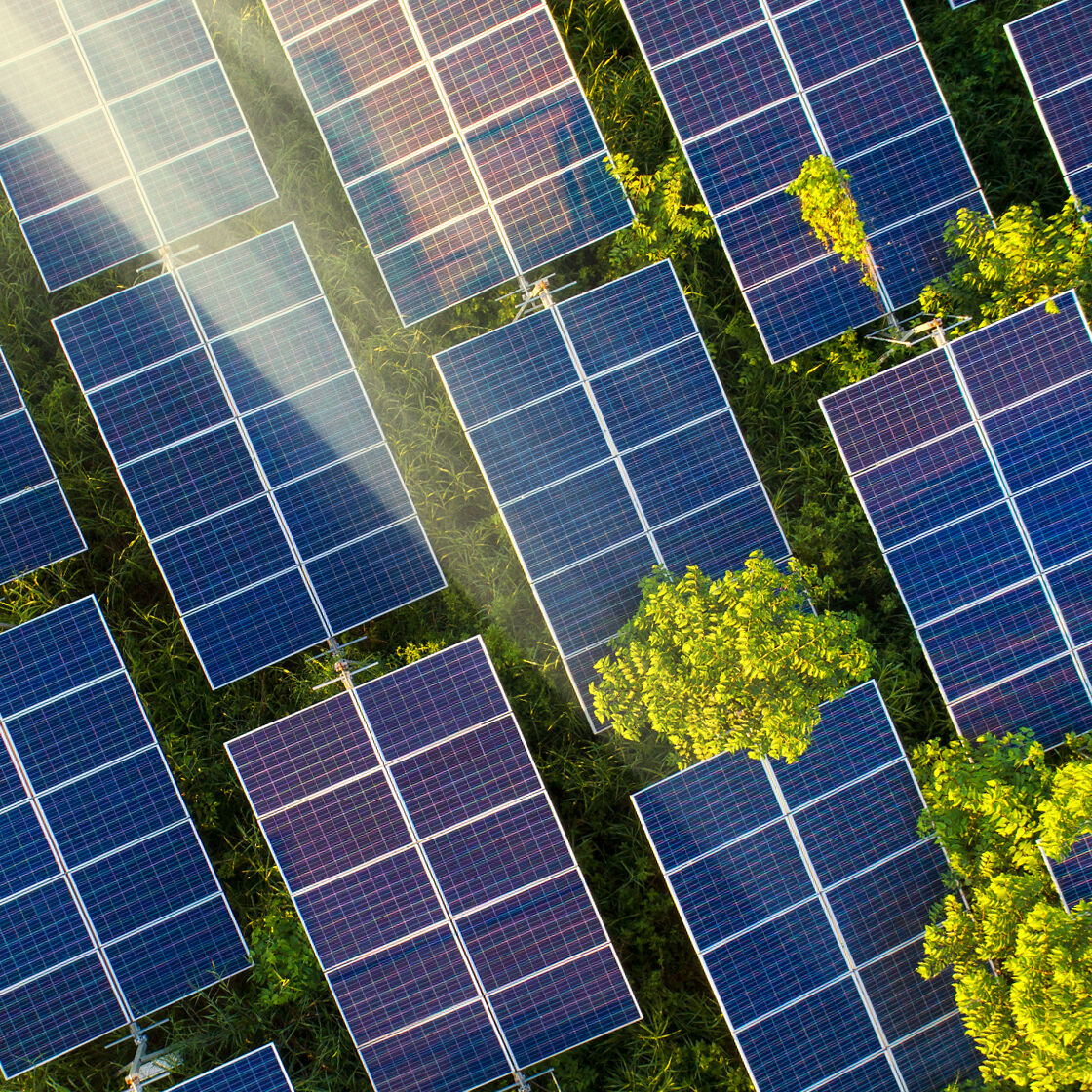 Redução do impacto ambiental